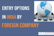Entry options for a Foreign Entity in India